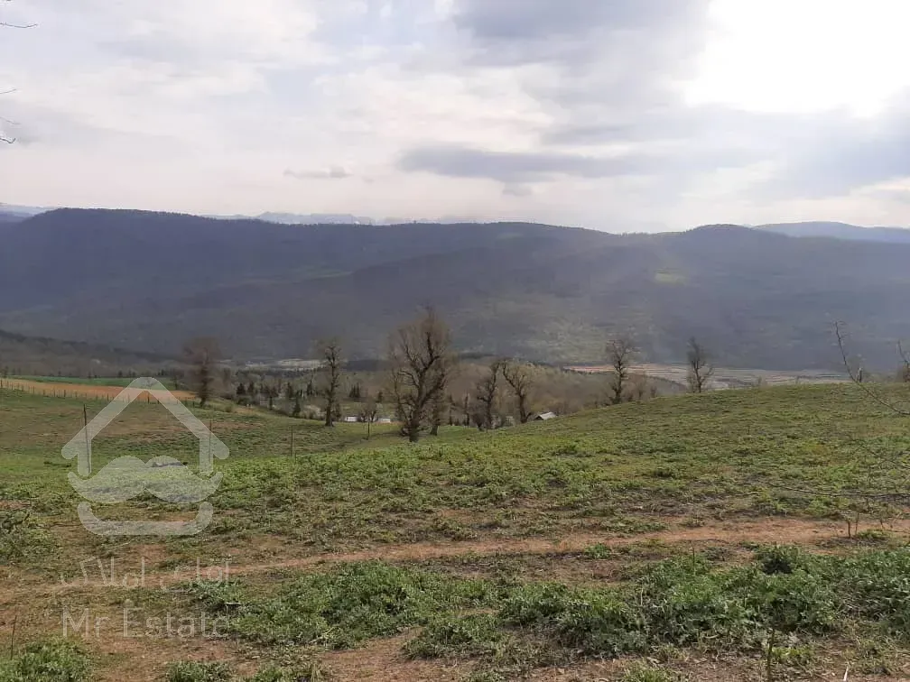 زمین خارج بافت