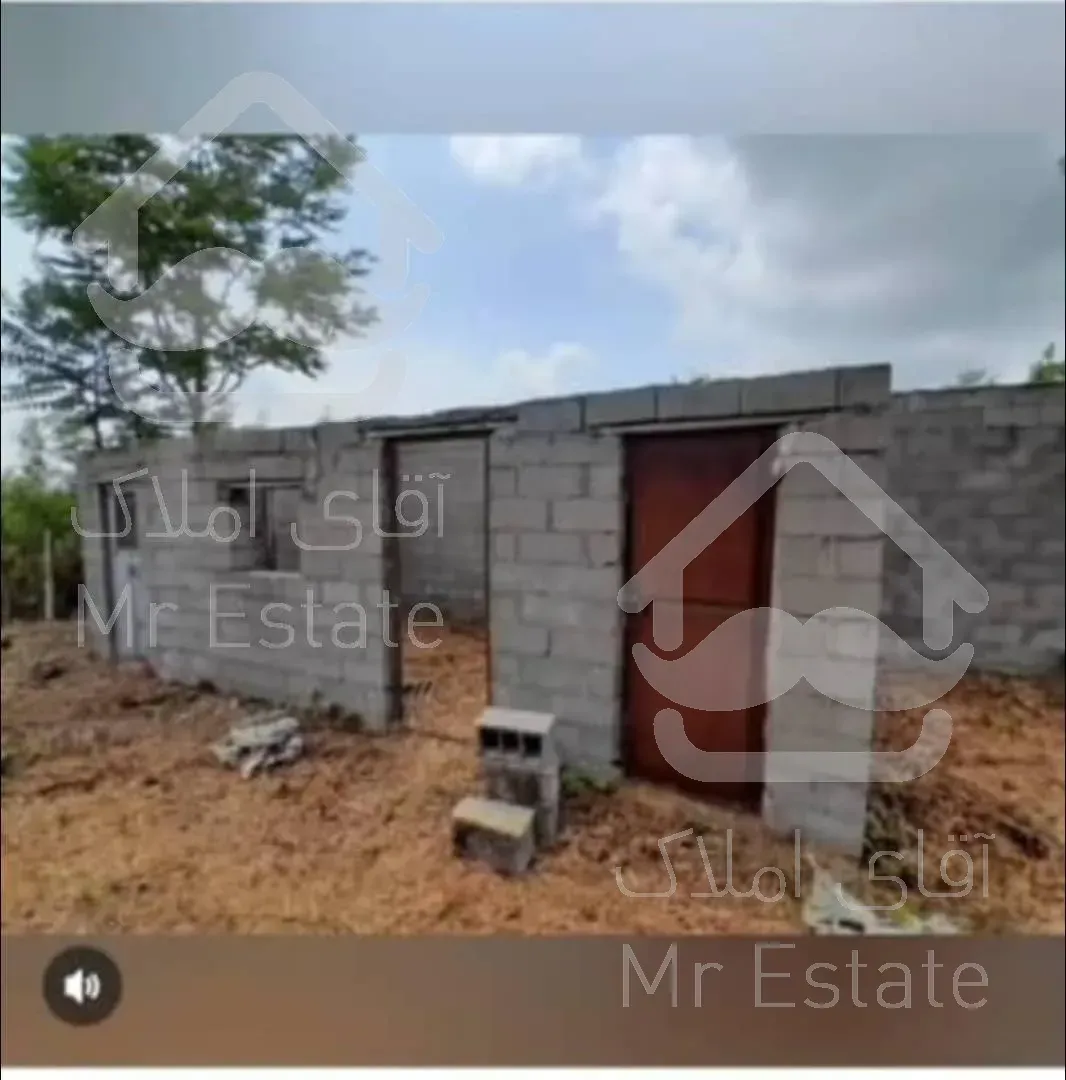 خرید زمین باغات (کیوی) دربندرانزلی