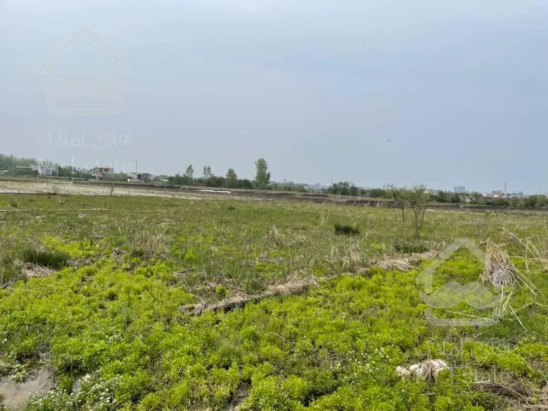 زمین ۵۰۰ متری هچیرود هرطه کلا