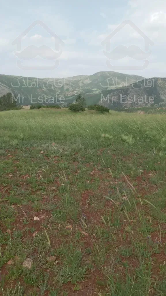 فروش زمین در سیاهکل