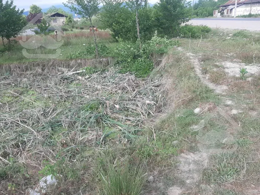 فروش ویژه زمین در گیلان/احمد سرگوراب