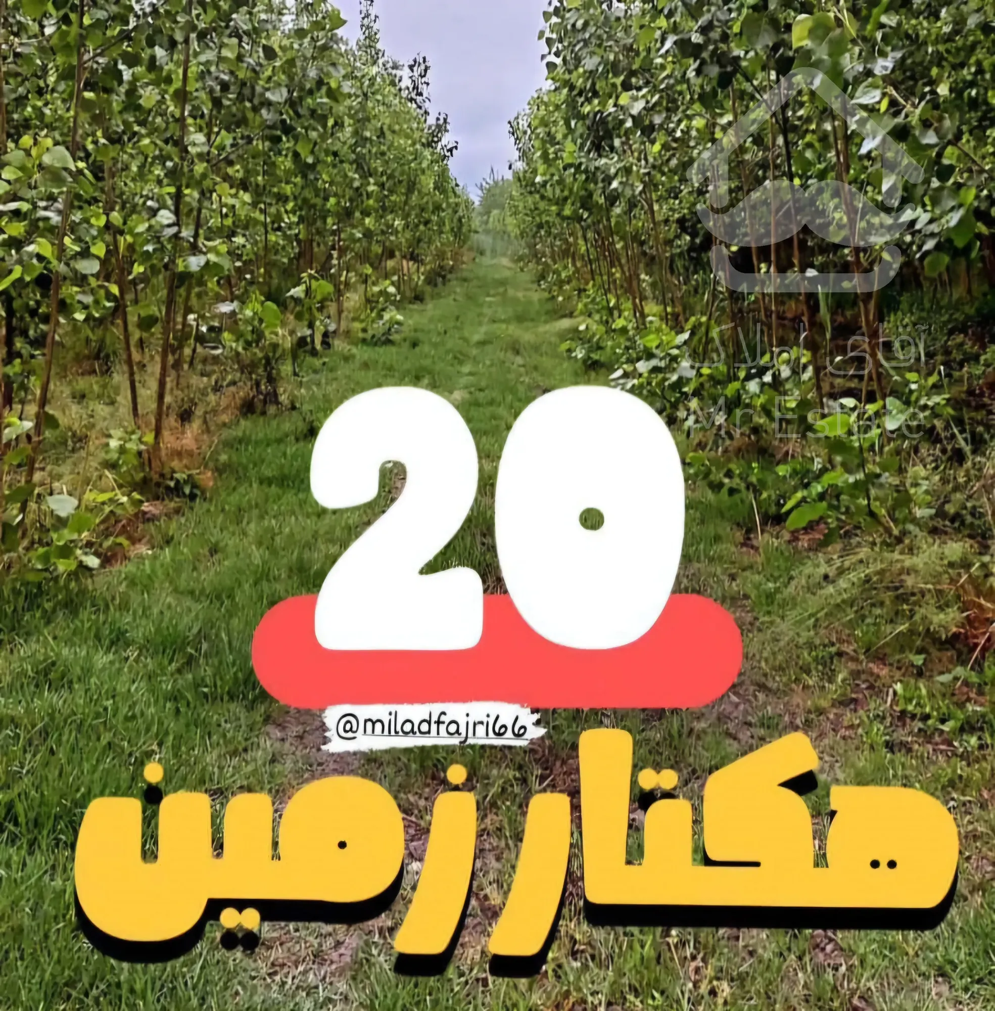 فروش زمین ۲۰ هکتاری گیلان ، رشت