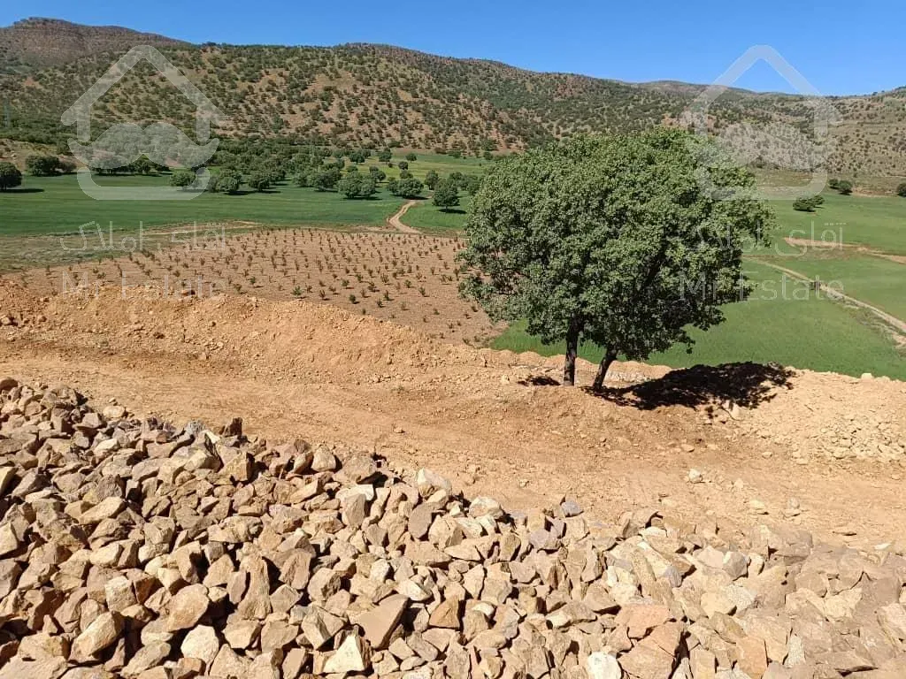 فرصتی تکرار نشدنی پیش فروش سوییت گردشگری