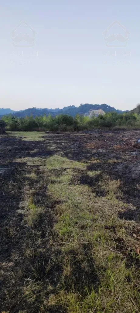 فروش زمین صنعتی کشاورزی با پروانه گاوداری