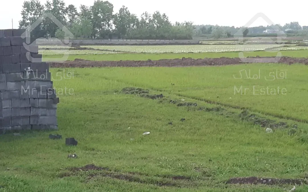 فروش ۵ هزار متر زمین مسکونی