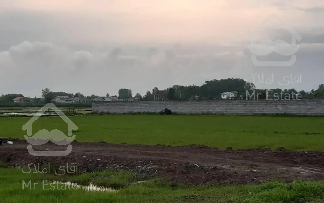 فروش ۵ هزار متر زمین مسکونی