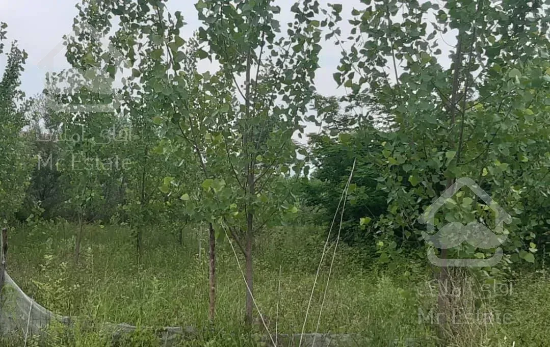 فروش ۲۰۰ متر زمین باغی