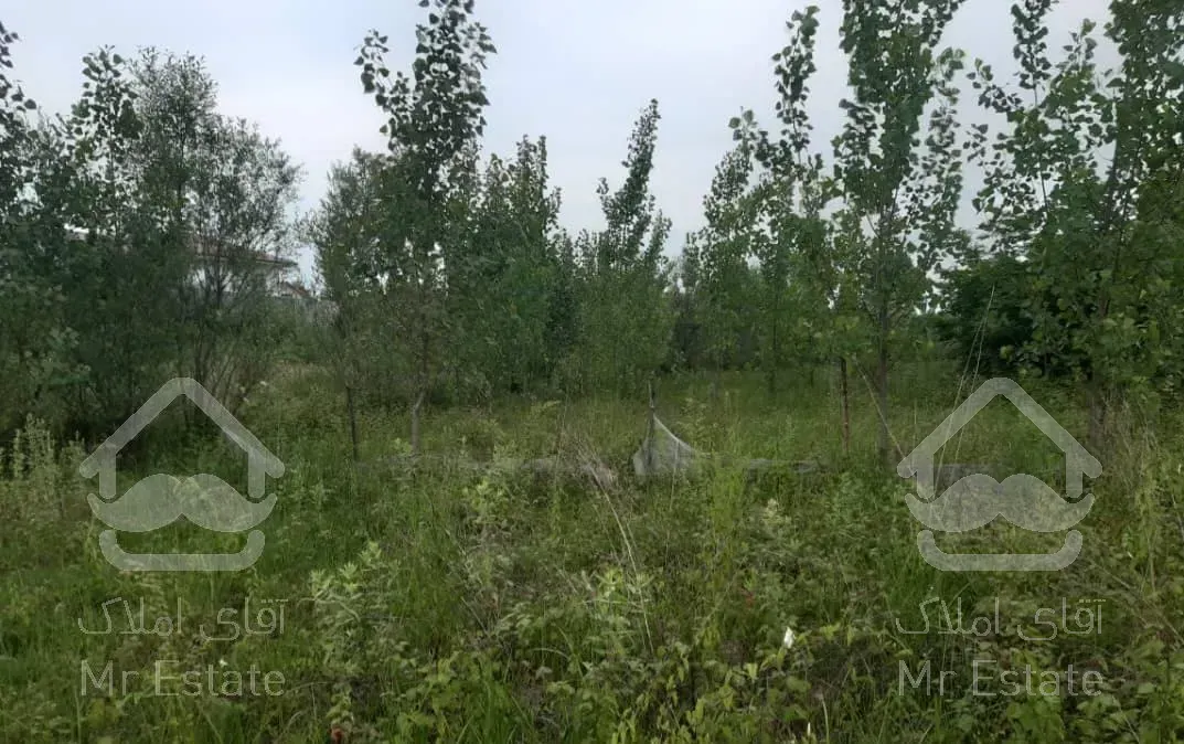 فروش ۲۰۰ متر زمین باغی