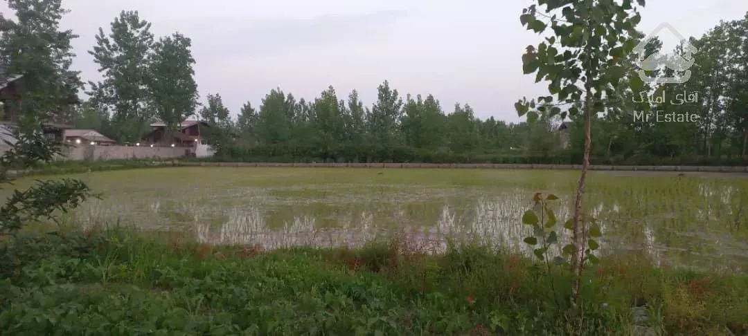 فروش زمین کاسبی در لاهیجان