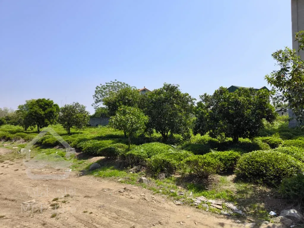 زمین مسکونی شش‌دانگ