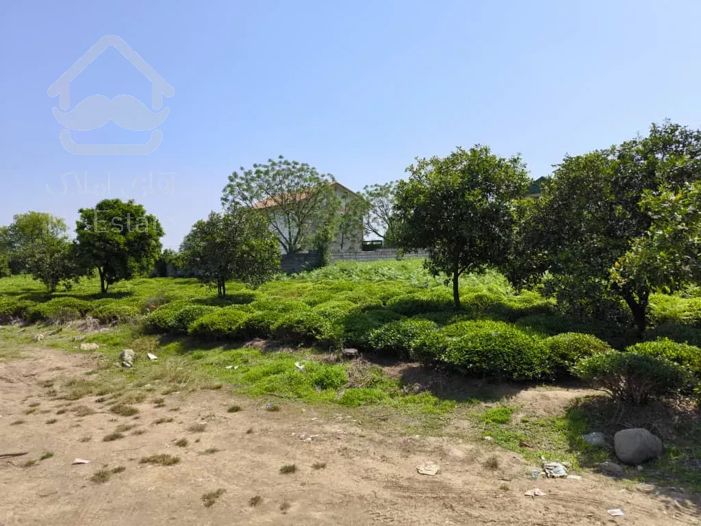 زمین مسکونی شش‌دانگ