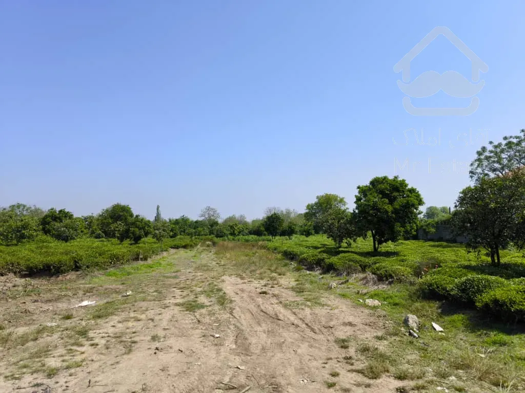 زمین مسکونی شش‌دانگ