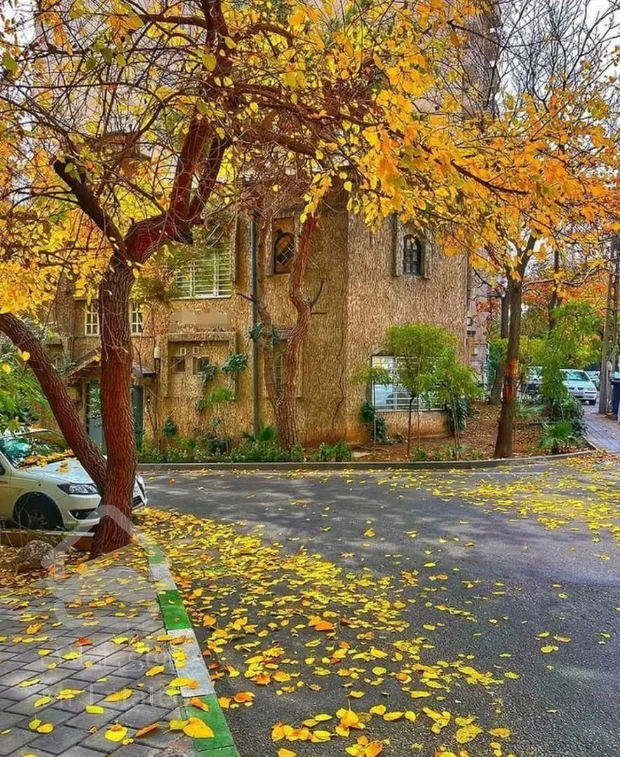 کلنگی جنوبی شهرک چشمه در منطقه۲۲