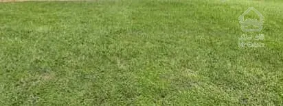 فروش زمین ۵۷۲ متری شهرکی گلدشت