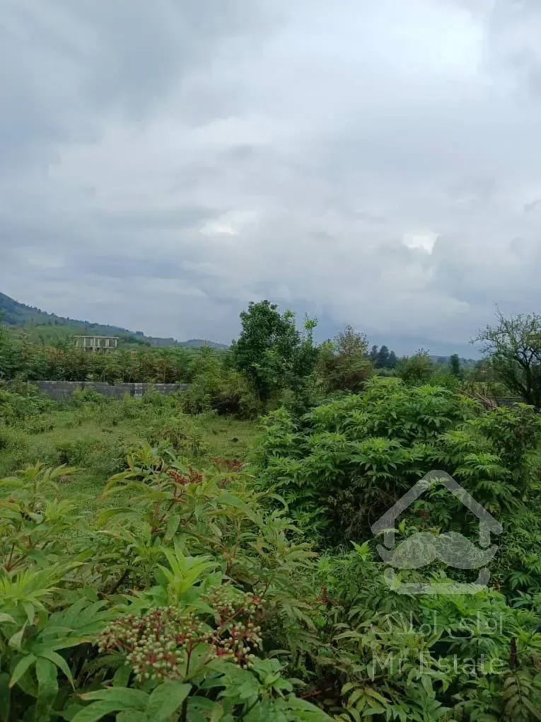 فروش زمین مسکونی در سیاهکل گیلان