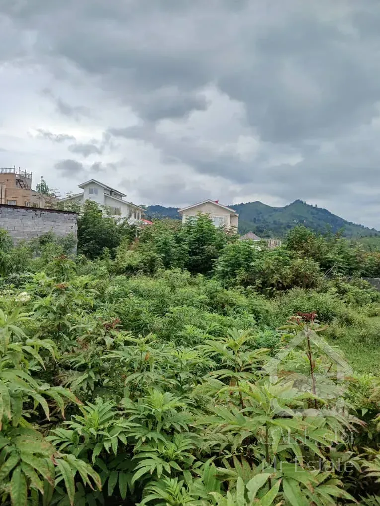 فروش زمین مسکونی در سیاهکل گیلان