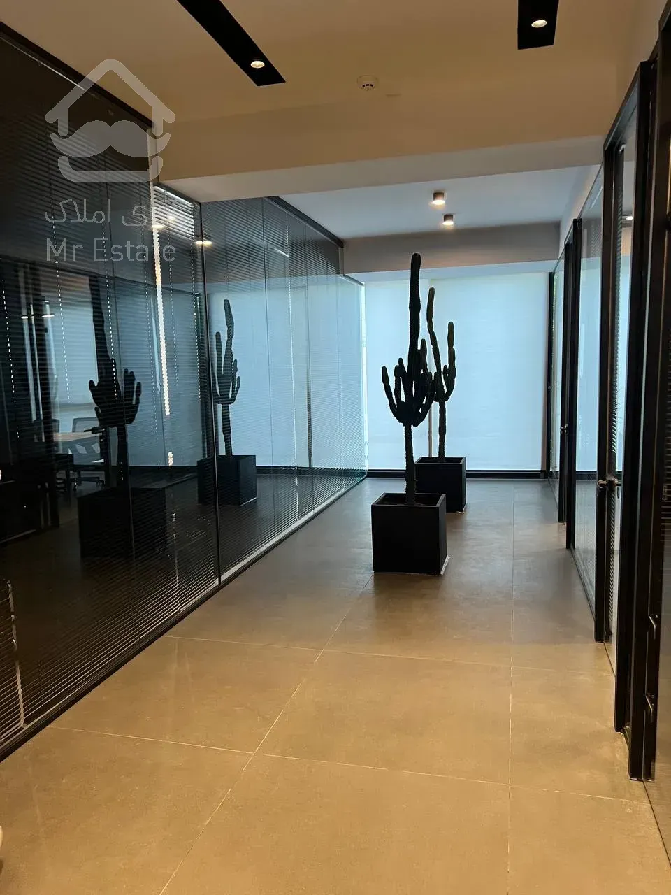 واحد  ۱۱۶در اقدیسه