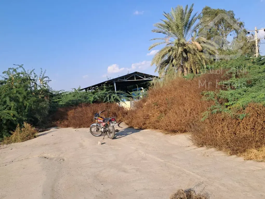 فروش زمین کشاورزی