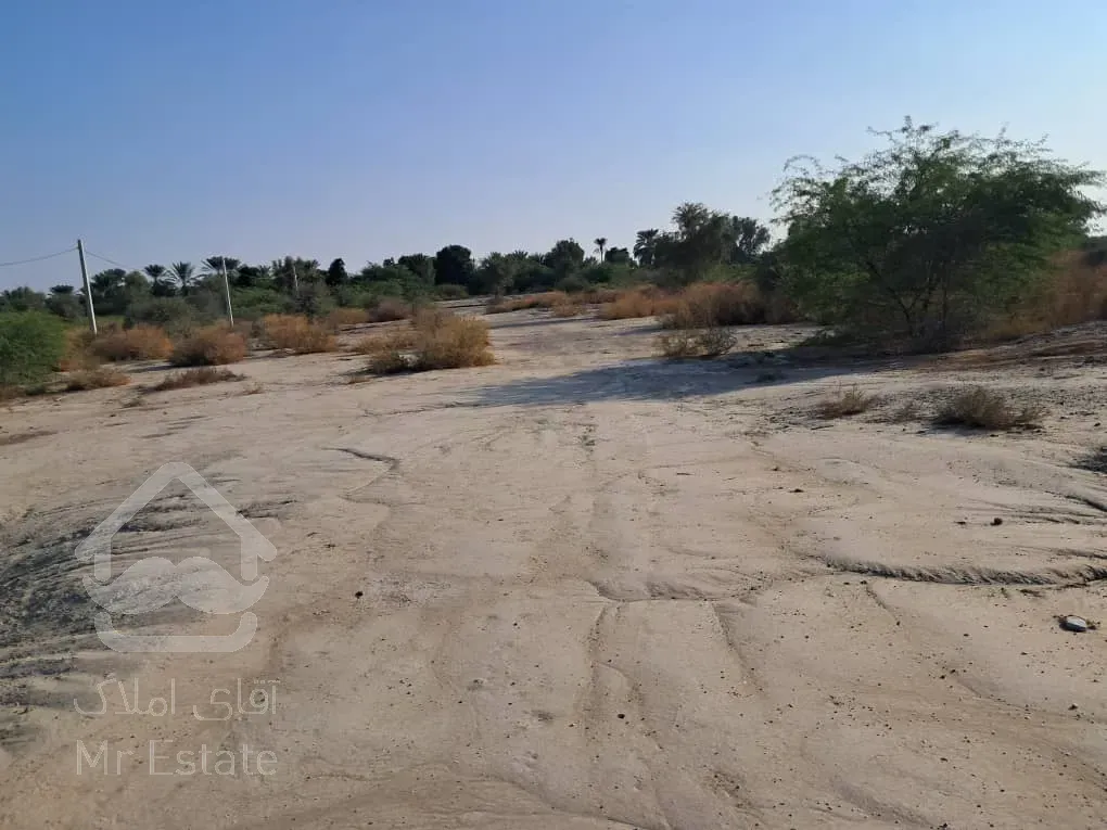 فروش زمین کشاورزی