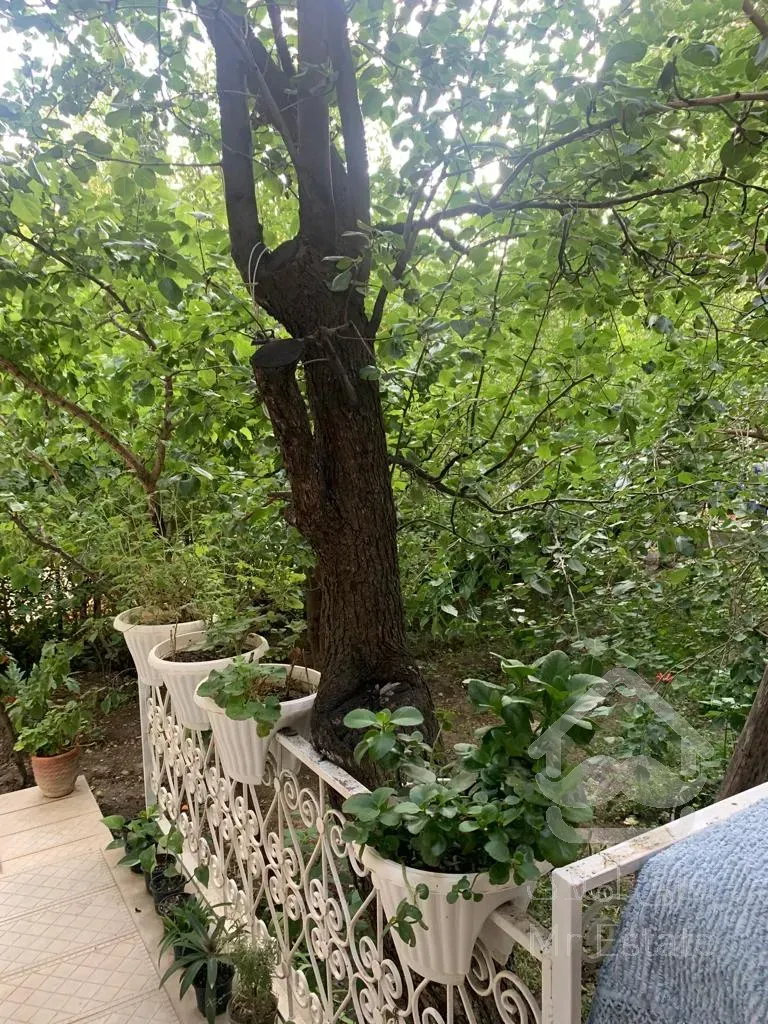 فروش باغ ویلا دماوند روح افزا