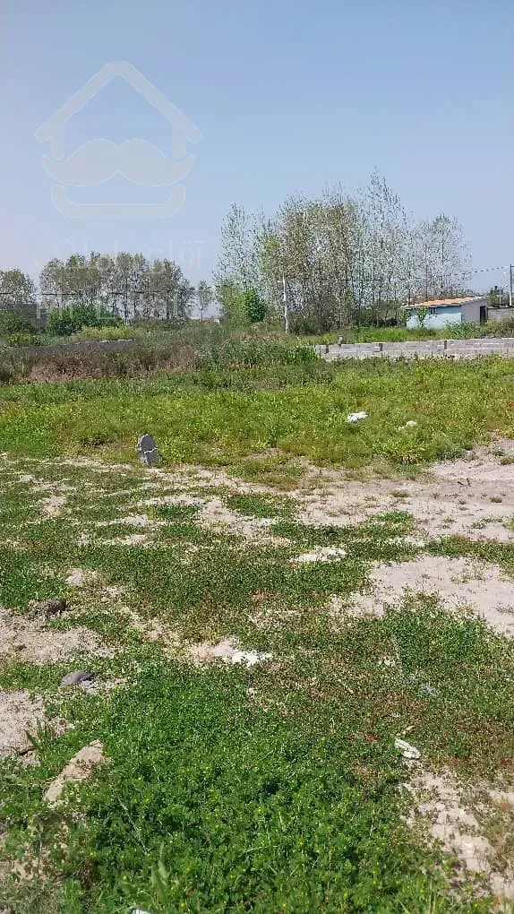 فروش زمین ۵۵۱ متری در بندرانزلی