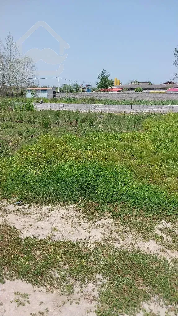 فروش زمین ۵۵۱ متری در بندرانزلی