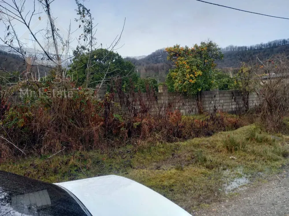 زمین به مصاحت 5500 سند دار در عباس آباد تنکابن