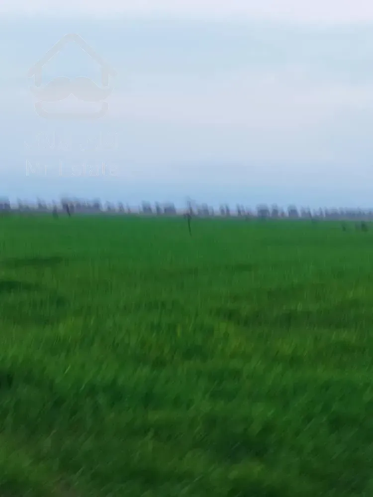 زمین مسکونی در کمربندی آستارا