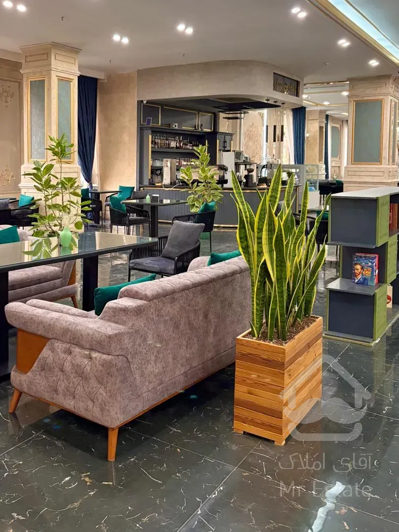 آخرین واحد ۱۱۷ متری ویودار/رونیکاپالاس هروی