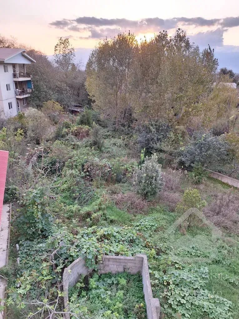 فروش ۱۱۵۰ متر مربع زمین جنگلی مسکونی