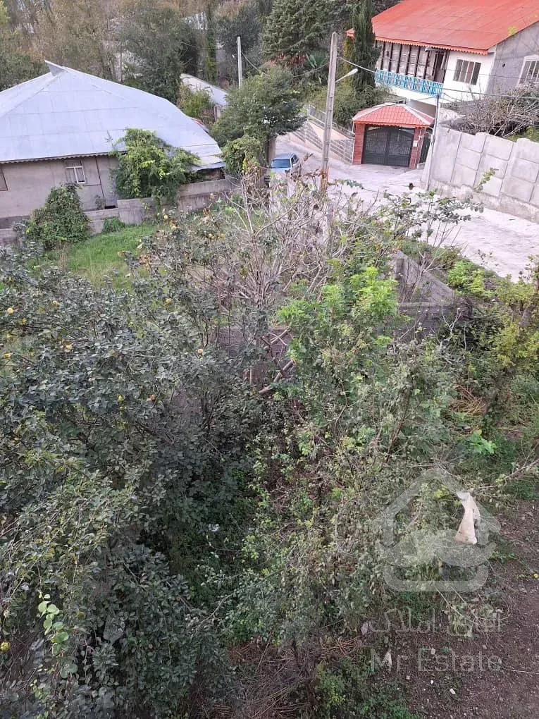 فروش ۱۱۵۰ متر مربع زمین جنگلی مسکونی