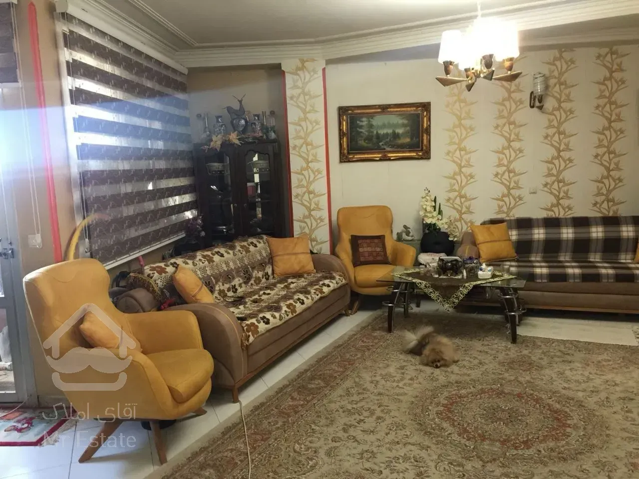 فروش آپارتمان ۶۶ متری استثنایی بهار شمالی