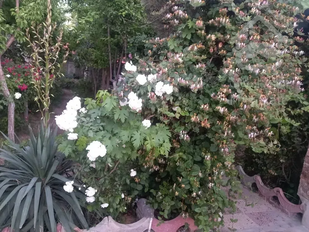 فروش باغچه 300متری دلباز همه چی تکمیل