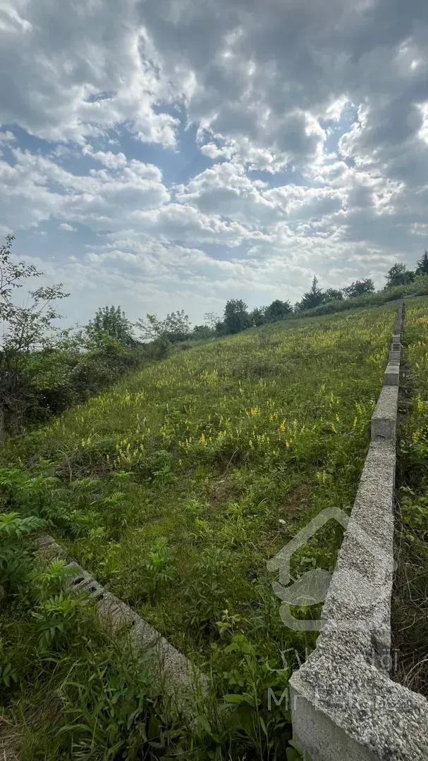 زمین 530 متری با ویو دریا/ کوه / جنگل