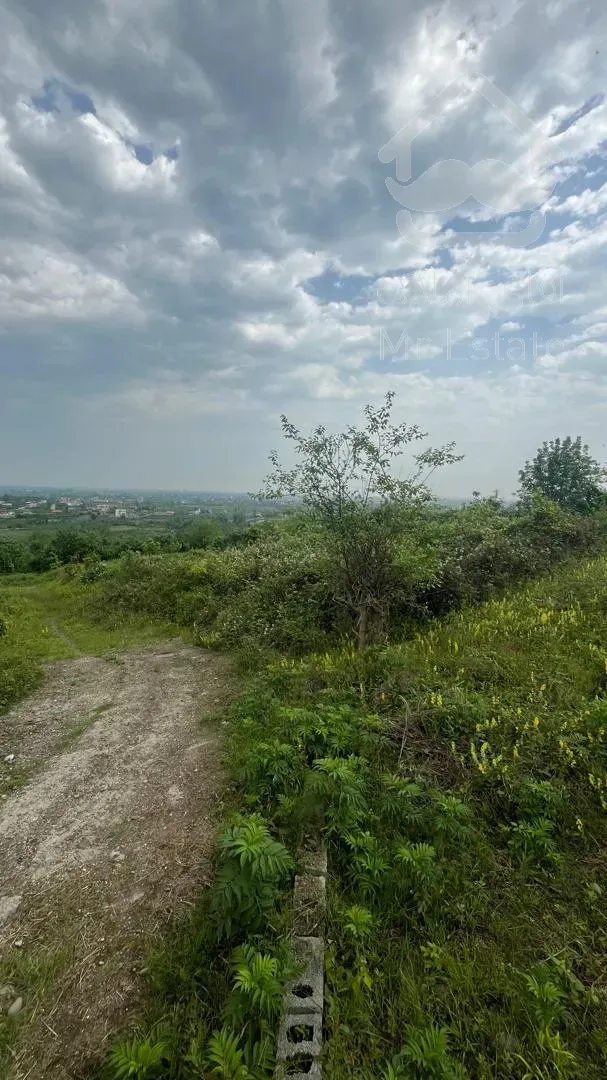 زمین 530 متری با ویو دریا/ کوه / جنگل