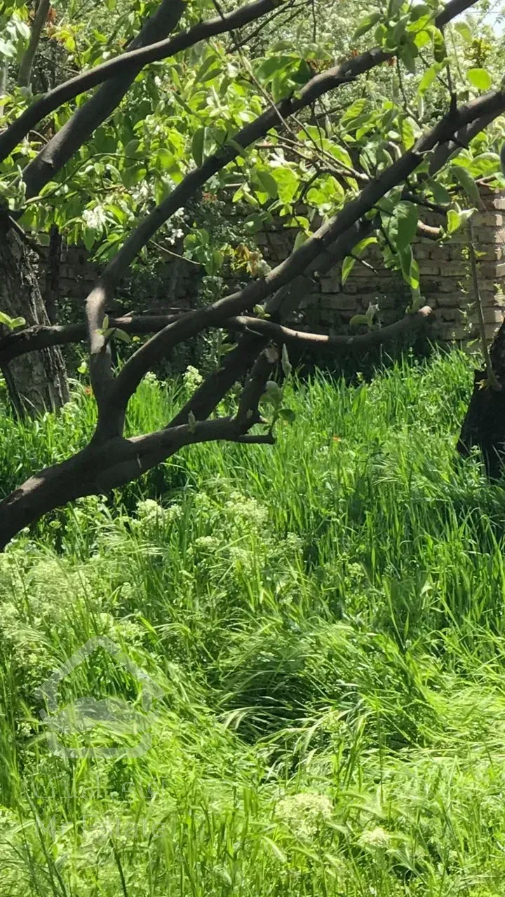 فروش باغ ویلا کردان قیمت کاسبی