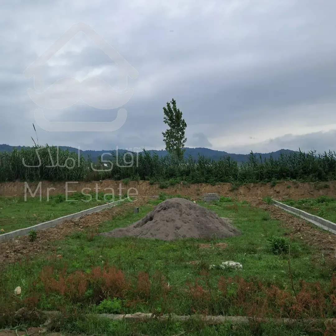 زمین سند دار جنگلی