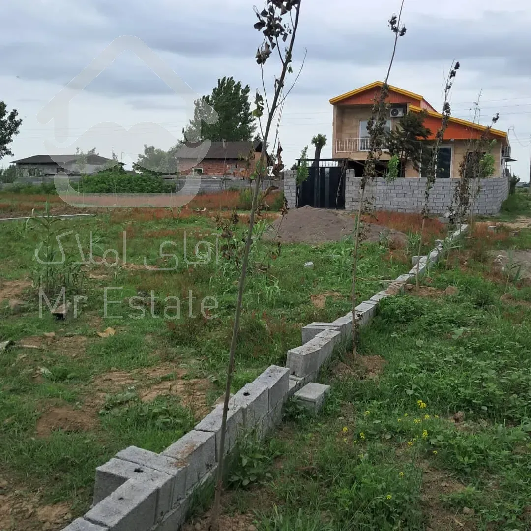 زمین سند دار جنگلی