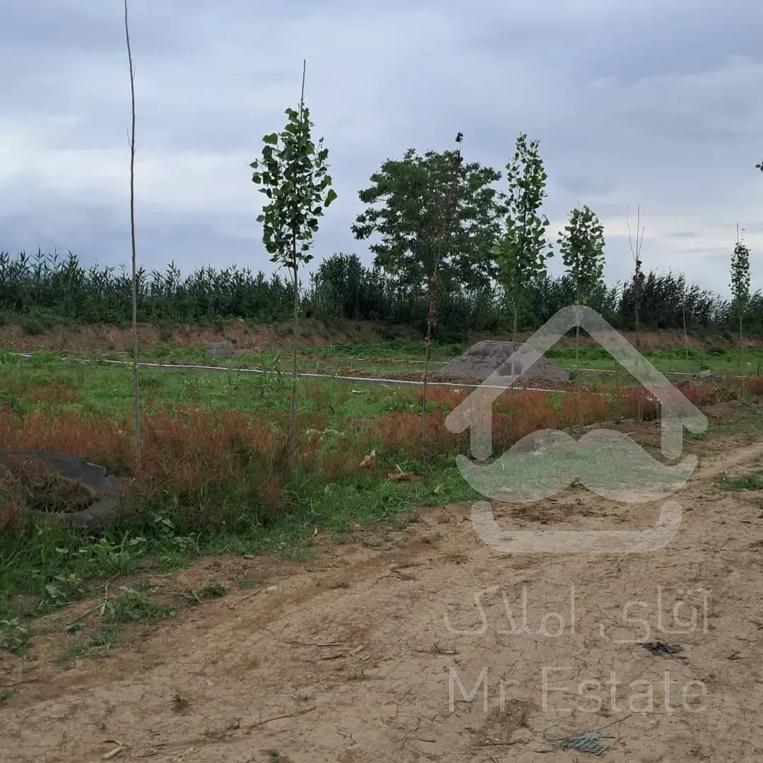 زمین سند دار جنگلی