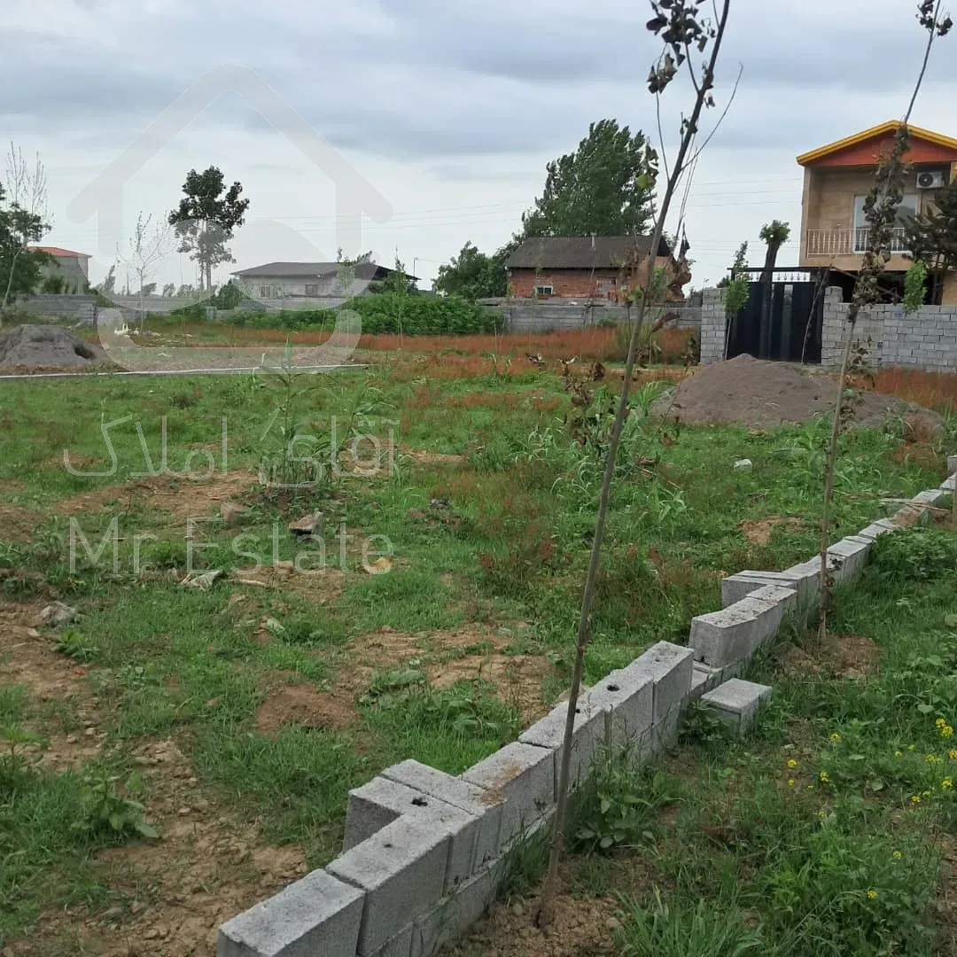 زمین سند دار جنگلی