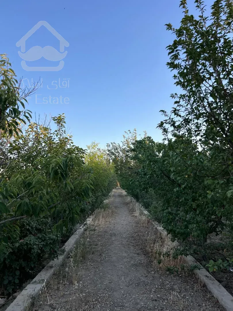 باغ احمدآباد مستوفی