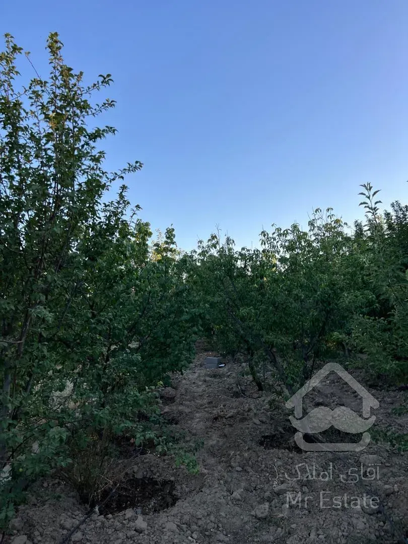 باغ احمدآباد مستوفی