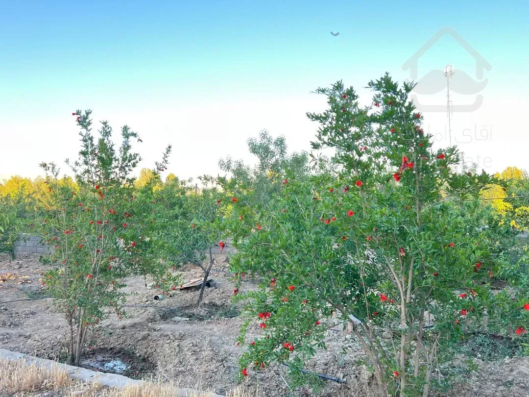 باغ احمدآباد مستوفی