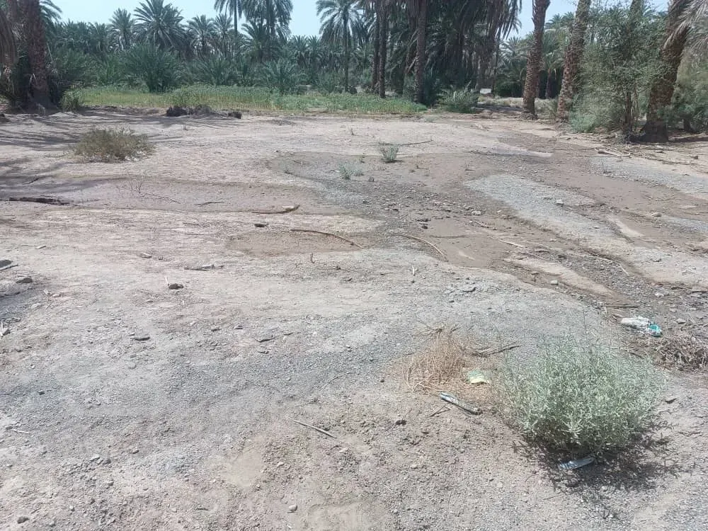 زمین فروشی۶۰۰متری در محمداباد مسجدجامع