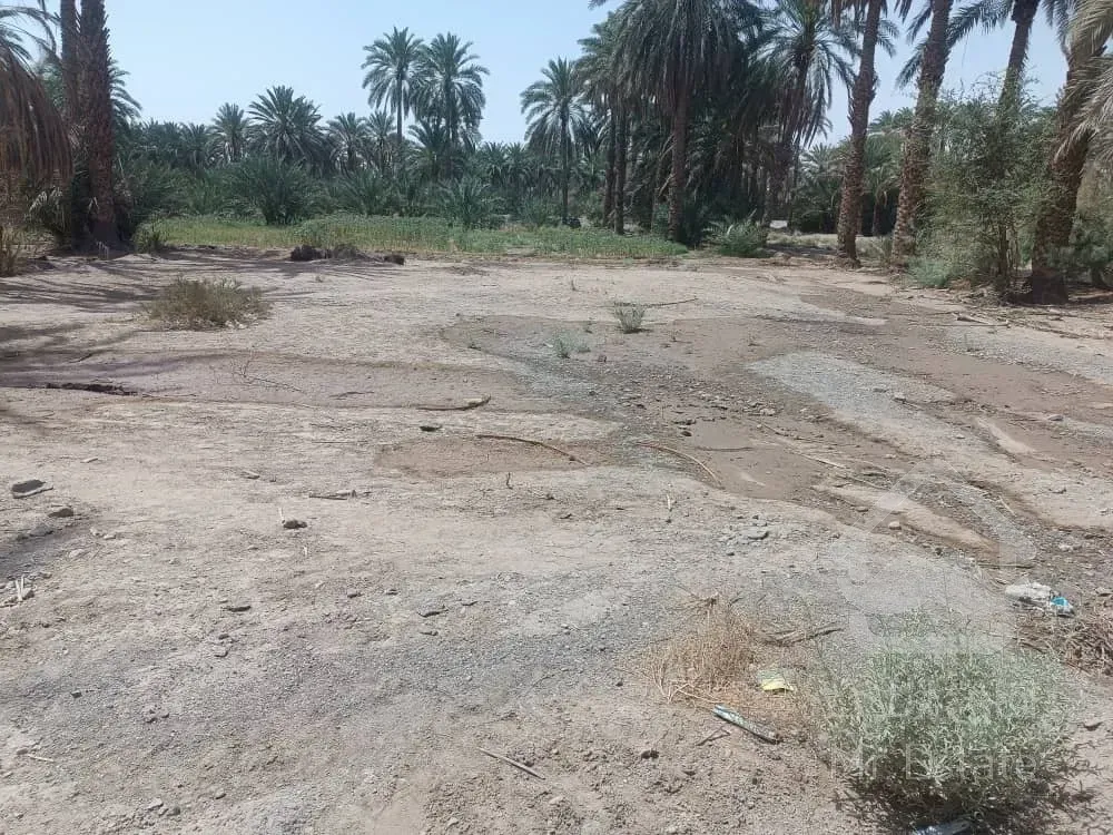 زمین فروشی۶۰۰متری در محمداباد مسجدجامع