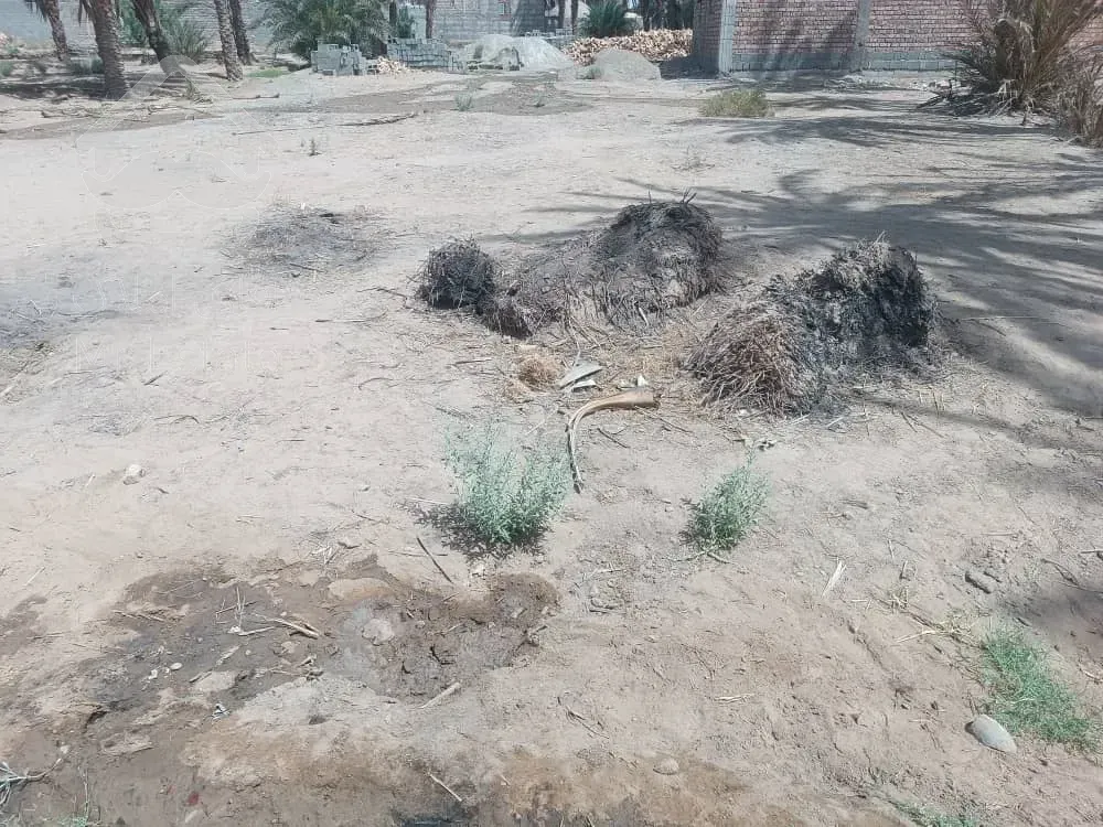 زمین فروشی۶۰۰متری در محمداباد مسجدجامع