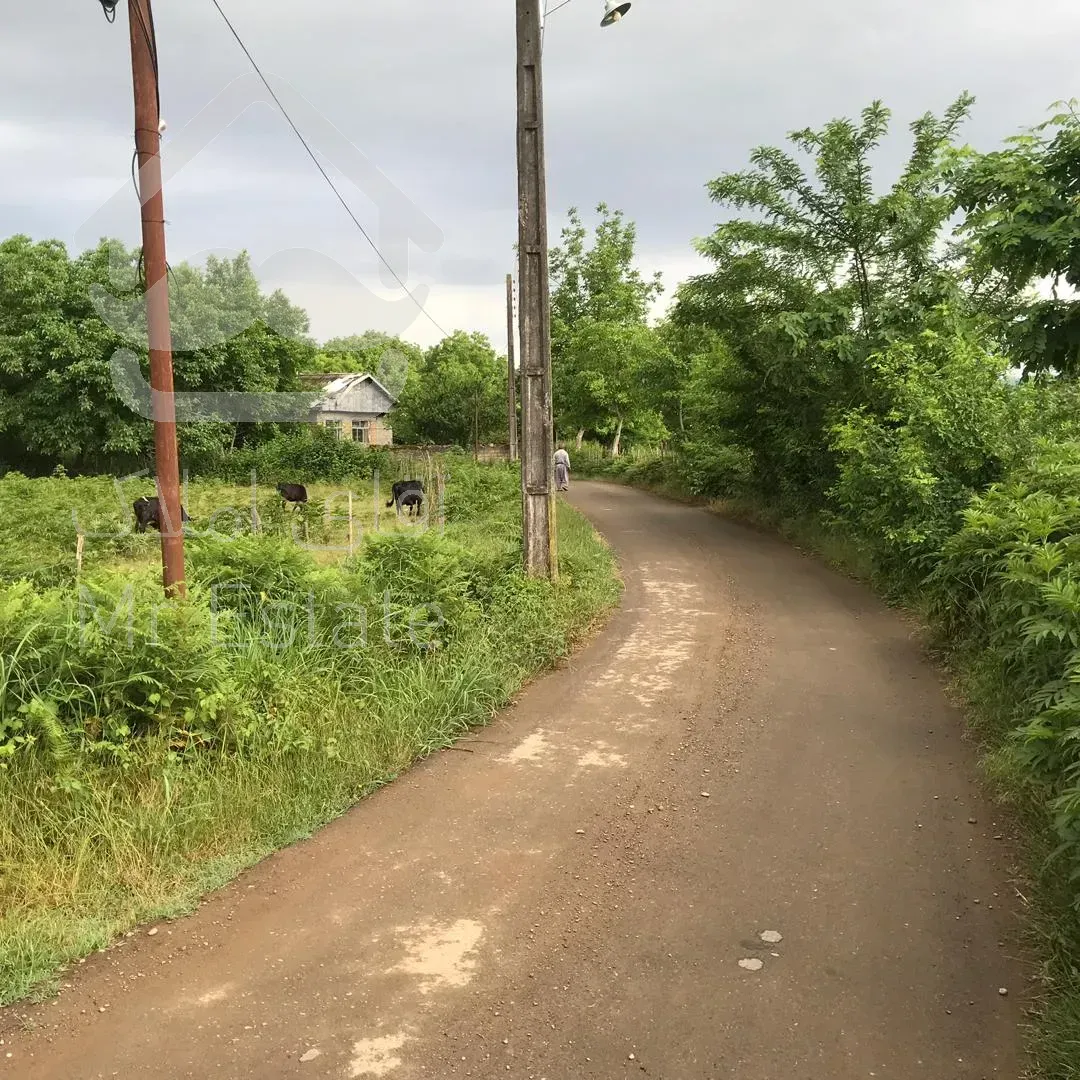 فرصت سرمایه گذاری در زمین مسکونی -زراعی