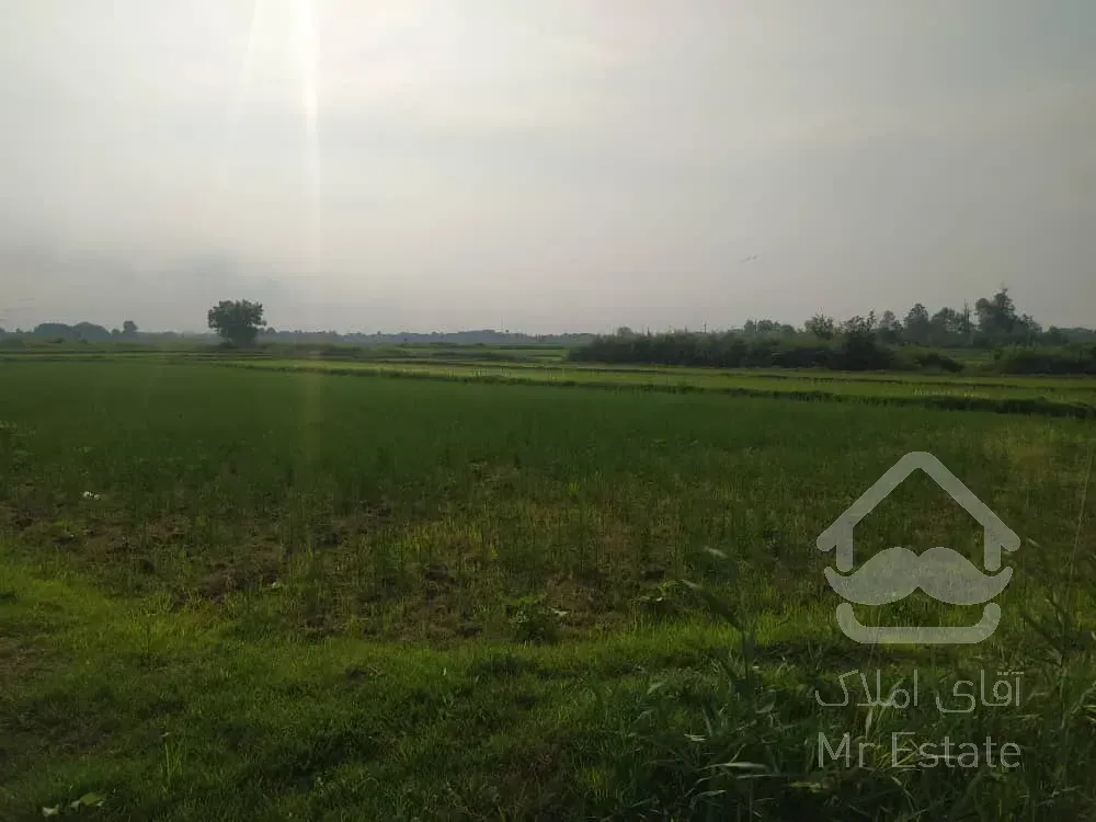 فروش زمین مسکونی ۶۰۰متری