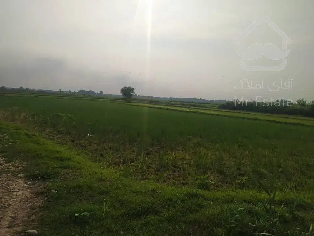 فروش زمین مسکونی ۶۰۰متری