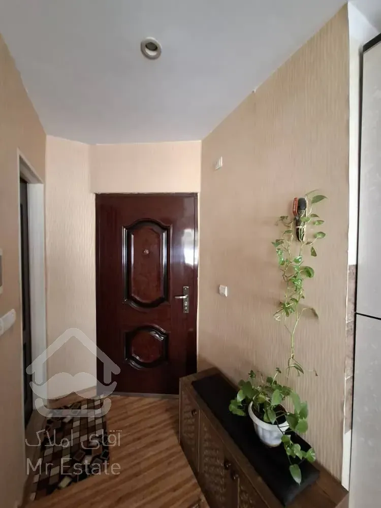 56متر 1خوابه فول امکانات دامپزشکی تهران